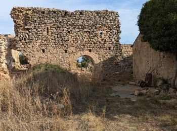 Tour Wandern Cabrières - Le Serre de Perret  - Photo