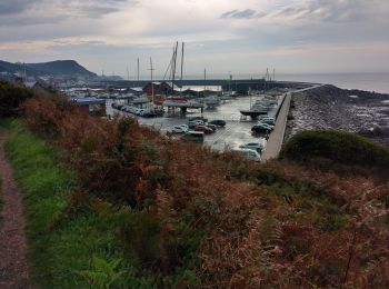 Randonnée Marche Tréauville - saint vaast la Hougue  - Photo