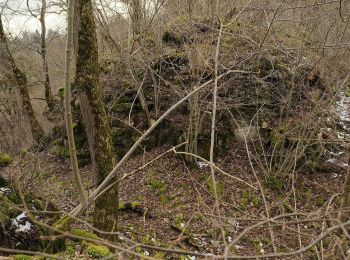 Percorso A piedi Deißlingen - SAV rotes Plus Maienbühl-Oberrotenstein - Photo