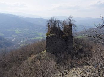 Tocht Te voet Bardi - Percorso 803 - Lavacchielli - Cerreto - Bre' - Pieve di Gravago - Brugnola - Monte Disperata - Photo