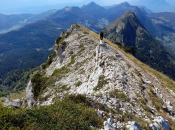 Excursión Senderismo Aillon-le-Jeune - BAUGES: MONT COLOMBIER - Photo