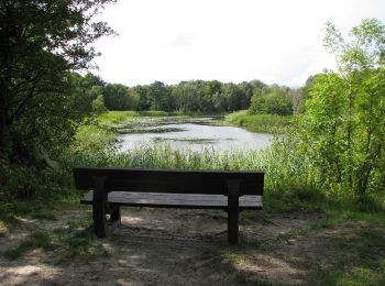 Trail On foot Westvoorne - Scholeksterroute - Photo