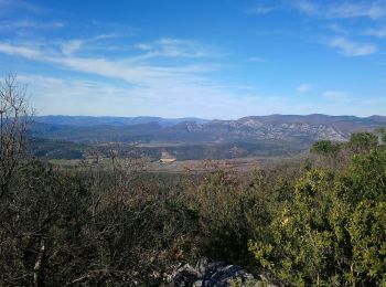 Tour Wandern Pompignan - Arsel entre Pompignane et ferrieres les verreries - Photo