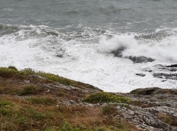 Excursión Senderismo Névez - petit tour sur le sentier côtier par grand vent - Photo