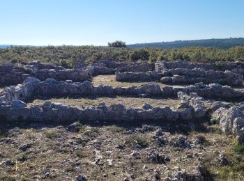 Excursión Senderismo Ventabren - L'aqueduc de Roquefavour - Photo