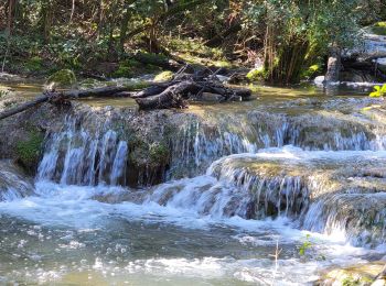 Randonnée Marche Nans-les-Pins -