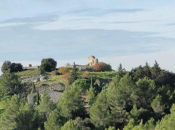 Tour Wandern Mérindol - PF-Mérindol - La Garrigue - Peyre Plate - Photo