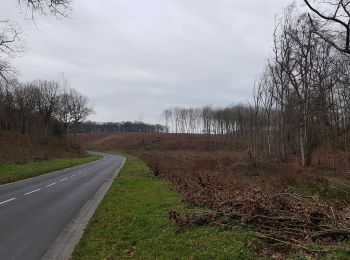 Randonnée Marche Saint-Aubin-Épinay - 20190115-Epinay - Photo