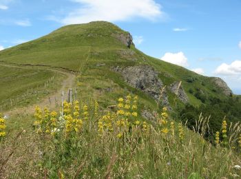 Excursión A pie Le Falgoux - Sur la route des transhumances étape 2 - Photo