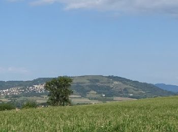 Tour Wandern Les Martres-de-Veyre - les Martres De Veyre - Photo