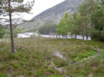 Excursión A pie  - Creag Bheag Trail - Photo