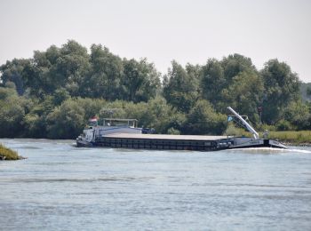 Tour Zu Fuß Brummen - NL-Extension of NS-Wandeltocht Uiterwaarden van Cortenoever - Photo