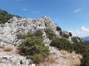 Tour Wandern Malaucène - Le cirque de Saint Amand et le Pas du Loup  - Photo