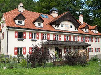 Percorso A piedi Aschau im Chiemgau - Wanderweg 10 - Aschau - Photo