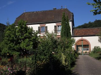 Randonnée A pied Wissembourg - Croix verte - Photo