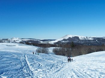 Tocht Sneeuwschoenen Saint-Agnan-en-Vercors - plateau de beure - Photo