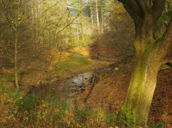 Excursión A pie High Peak - Derwent Dam Black Route - Photo