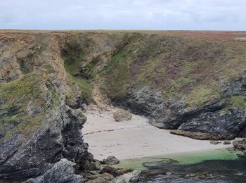 Trail Walking Sauzon - donnant bordelann - Photo