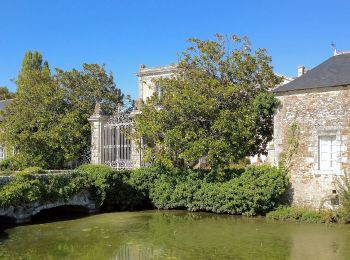 Excursión A pie Divatte-sur-Loire - La Haute Chapelle - Photo