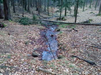 Randonnée A pied Kleinkahl - Schwarzer Fuchs, Rundwanderweg Kleinkahl - Photo