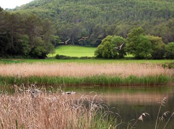 Tour Zu Fuß Banyoles - Volta a l'Estany - Photo