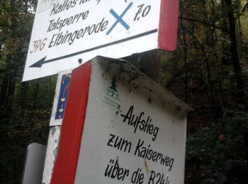 Tour Zu Fuß Wernigerode - DE-roter Balken - Photo