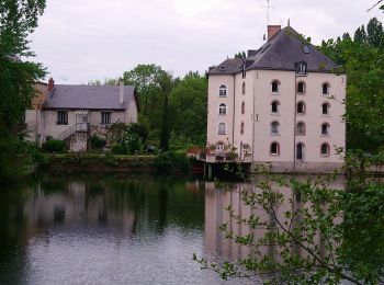 Percorso Corsa a piedi Saint-Pryvé-Saint-Mesmin - Olivet Découverte  - Photo