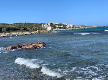 Randonnée Marche Rogliano - Cap Corse Macinaggio à Barcaggio, via tour d’Agnello - Photo