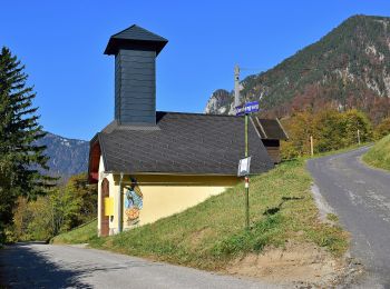 Tour Zu Fuß Gemeinde Reichenau an der Rax - Schneedörfl - Waldburgangerhütte - Photo