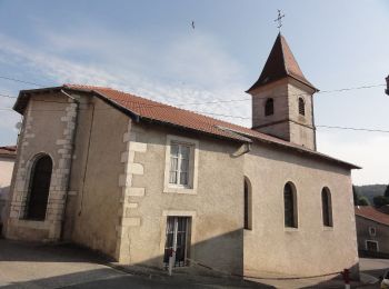 Tocht Te voet Laneuveville-derrière-Foug - Circuit de Domfontaine - Photo