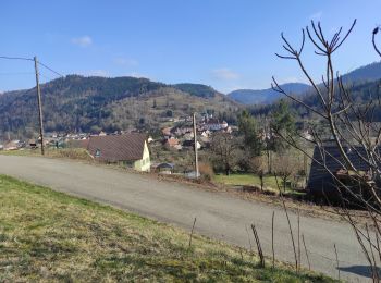 Randonnée Marche Urbès - Urbès HT Marel  - Photo