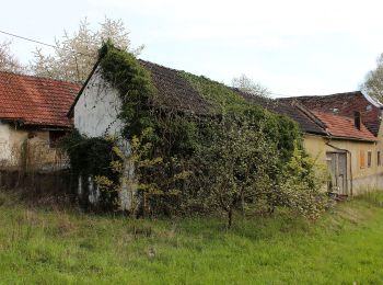 Excursión A pie Bad Camberg - Rundwanderweg Oberselters 2 - Photo