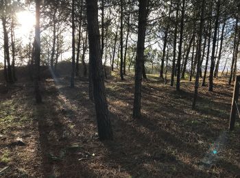 Randonnée Marche Saint-Brevin-les-Pins - St Brevin promenade - Photo