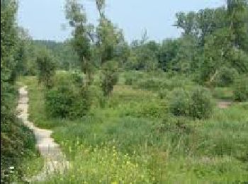 Trail Walking Waremme - WACHNET WAREMME - Photo