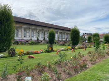 Randonnée Marche Épinal - Epinal - Photo