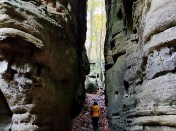 Randonnée Marche Berdorf - Les colonnes rocheuses de Berdorf - Photo
