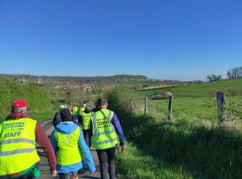 Tocht Stappen Brin-sur-Seille - AUDAX Brin sur Seille - Photo