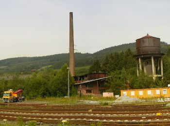 Tocht Te voet Bestwig - Bestwig Rundweg B7 - Photo