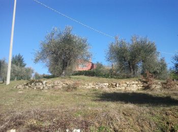 Tocht Te voet Passignano sul Trasimeno - Castel Rigone - Torre Fiume - Photo