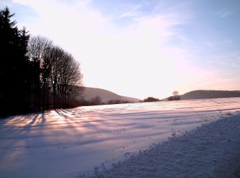 Tocht Te voet Altenbeken - Bahn und Quellen Rundwanderweg - Photo