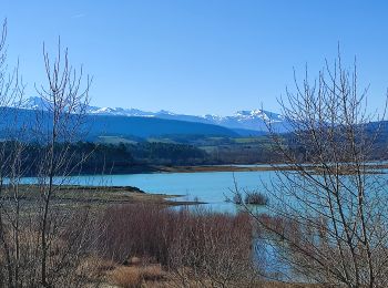 Tour Wandern Léran - tour lac Montbel  - Photo