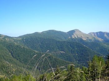 Tocht Te voet Moulinet - Cime du Diable - Photo