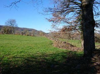 Trail Walking Saint-Côme-d'Olt - roquelaure - Photo