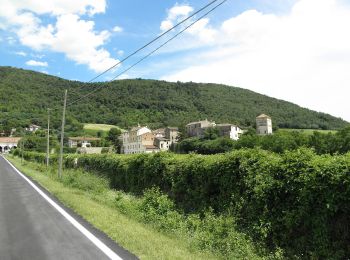 Percorso A piedi Val Liona - Sentiero di Campolongo - Photo