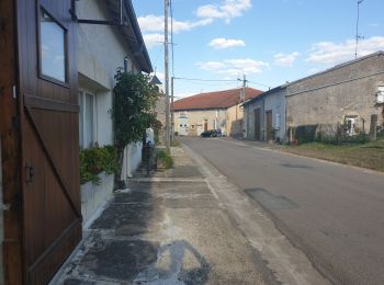 Tour Auto Les Hauts-de-Chée - Colombey les 2 églises et le lac du Der depuis Les Hauts de Chée - Photo