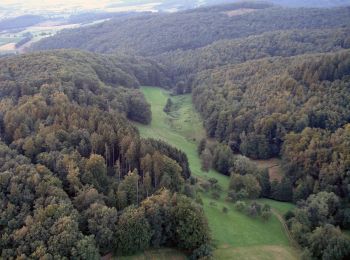 Tocht Te voet Brombachtal - Rundwanderweg Brombachtal Böllsteiner Höhe 3: Wallbrunner-Weg - Photo