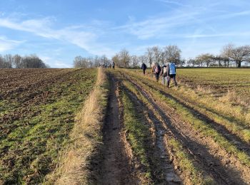 Excursión Senderismo Villers-sur-Fère - Villers  - Photo