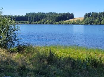 Trail Electric bike Le Puy-en-Velay - Le puy en Velay \ Lac de Malaguet  - Photo