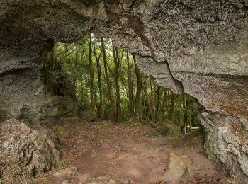 Tour Zu Fuß Praia (São Mateus) - Volta à Caldeira - Furna do Enxofre - Photo