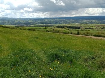 Tour Wandern Le Bouchet-Saint-Nicolas - Stenvenson Le Bouchet St Nicolas - Pradelles - Photo